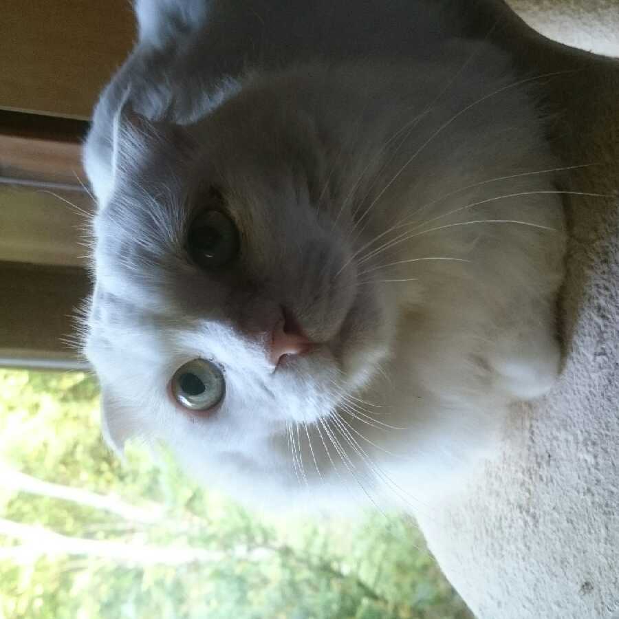 ダイさん専用 分割①