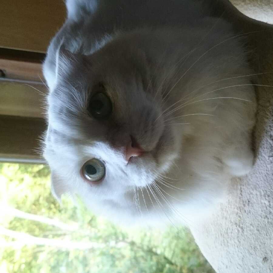 ダイさん専用分割②