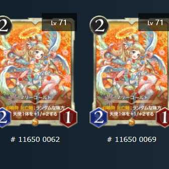 マリーゴールド　2枚セット