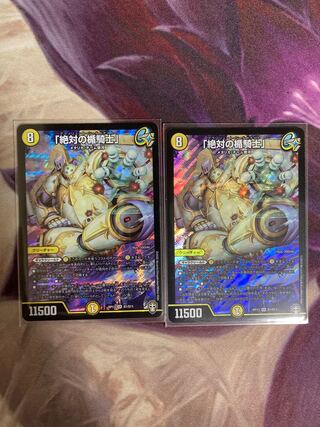 「絶対の楯騎士」2枚