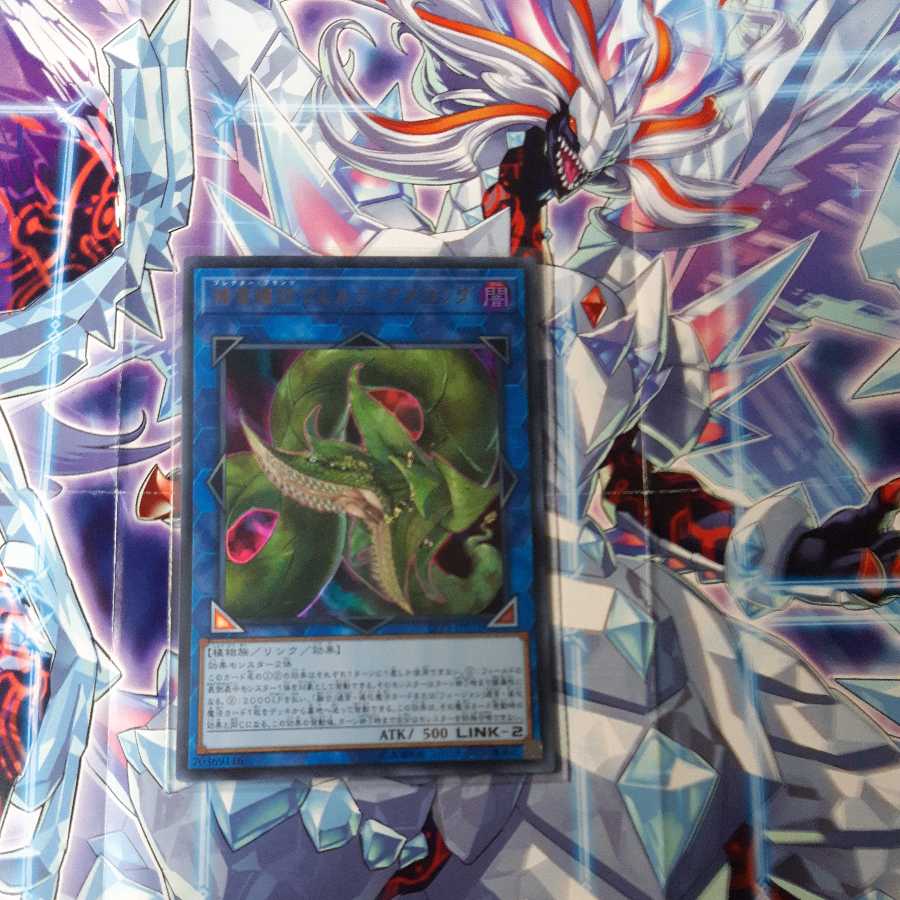 捕食植物ヴェルテ・アナコンダ