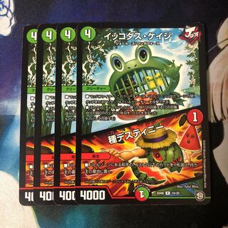 イッコダス・ケイジ｜種デスティニー