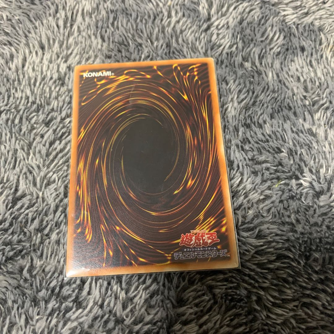 捕食植物オフリス・スコーピオ レア