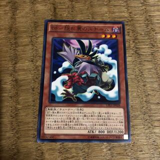 BF隠れ蓑のスチーム