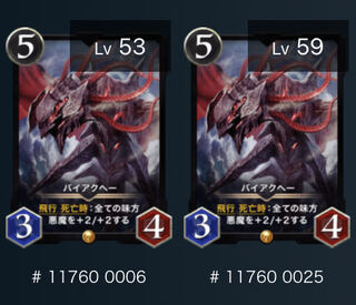 バイアクヘー２枚セット