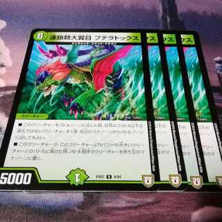 a58 連鎖類大翼目 プテラトックス　4枚　アカマル