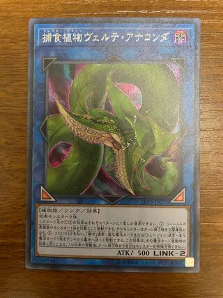 捕食植物ヴェルテ・アナコンダ シークレットレア