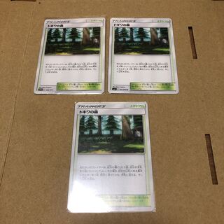 トキワの森　3枚セット