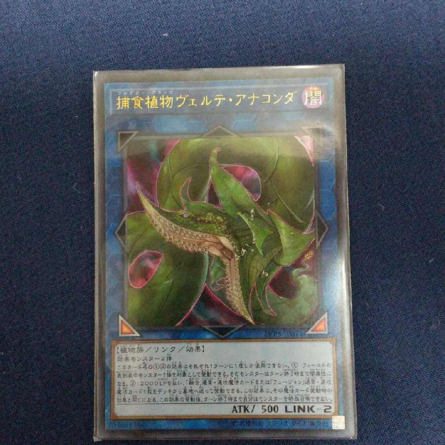 捕食植物ヴェルテ・アナコンダ