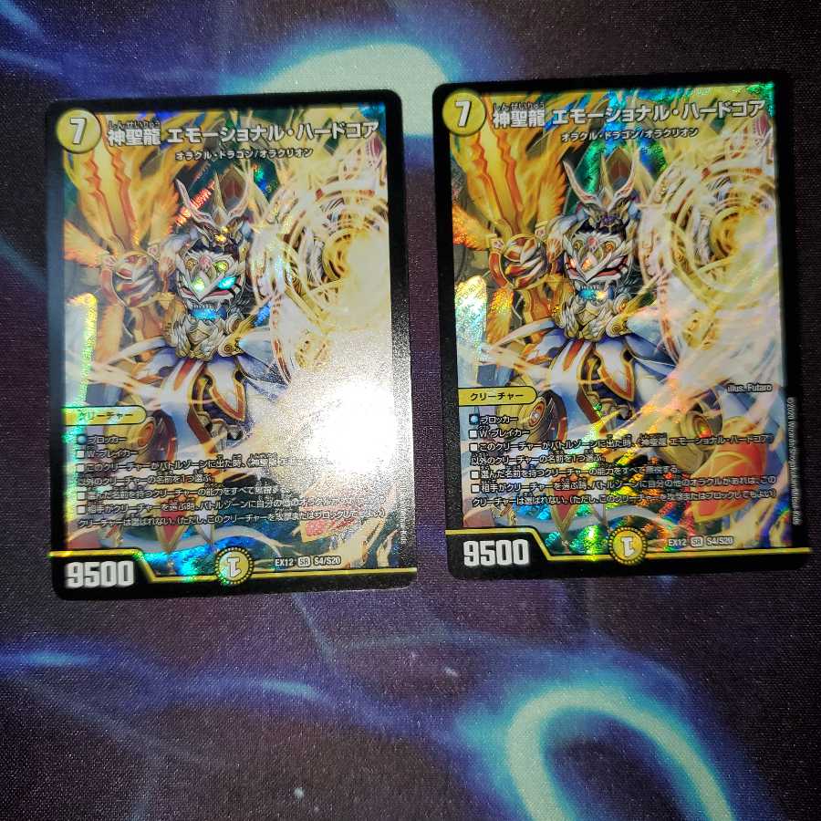 神聖龍 エモーショナル・ハードコア　２枚