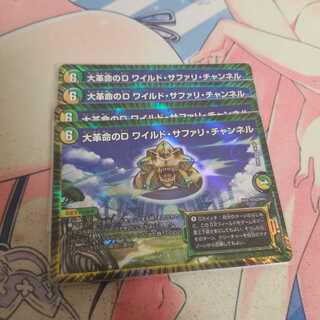 大革命のD ワイルド・サファリ・チャンネル