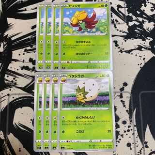 ヒメンカ　ワタシラガ