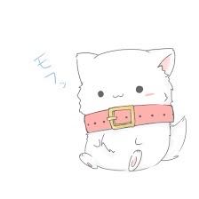 紅葉桜様 専用 ザボンバ  3枚セット