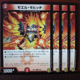 セット割引　モエル・モヒッチ