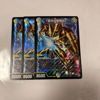 「雷光の聖騎士」