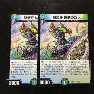 ドルゲ サルトビジャイアント 1枚