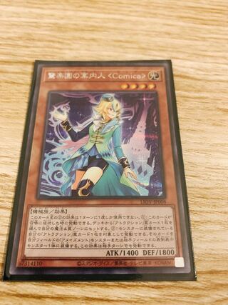 アメイズメント•アテンダント　シク