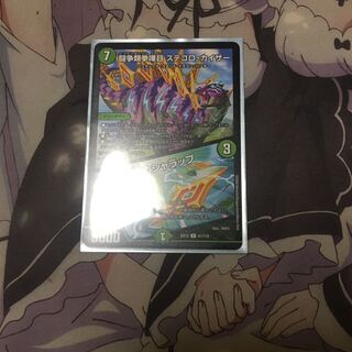 闘争類拳嘩目 ステゴロ・カイザー｜お清めシャラップ R