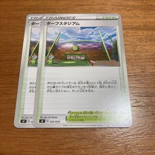 ターフスタジアム2枚