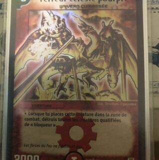 クリムゾンワイバーン