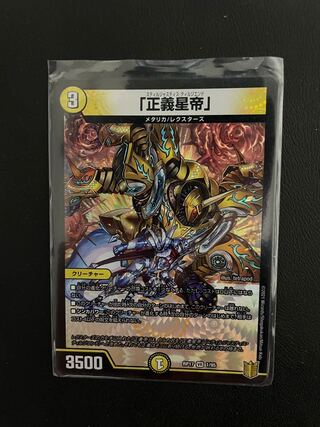 よろしくさん太郎 様 専用出品 1枚