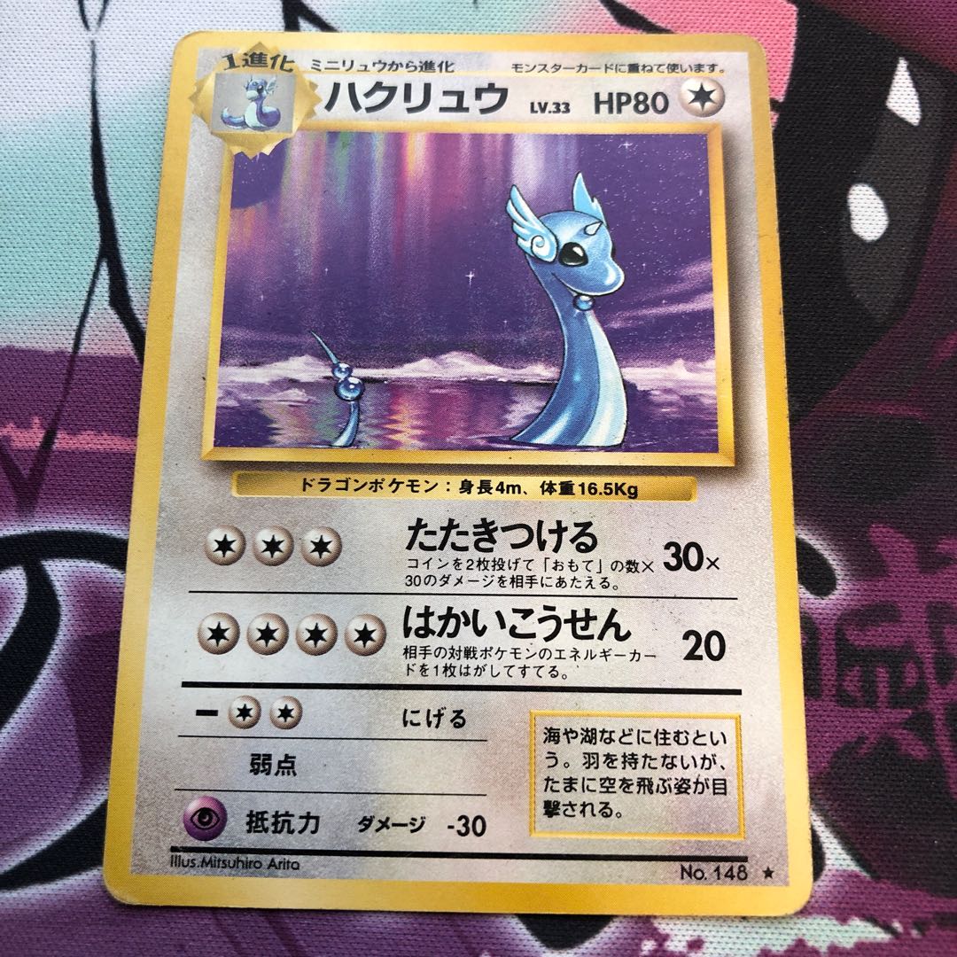 tulip tree (Liriodendron tulipifera)