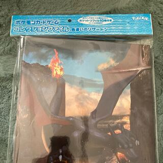 リザードン　コレクションファイル