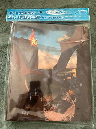 リザードン　コレクションファイルx2