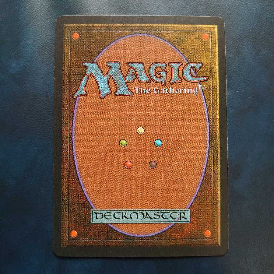 エクシー様専用【イタリア語】Tropical Island