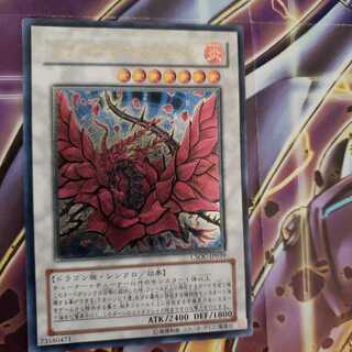 ブラック・ローズ・ドラゴン アルティメットレア　1枚