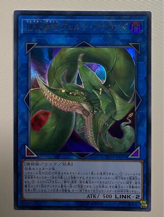 捕食植物ヴェルテ・アナコンダ ウルトラレア