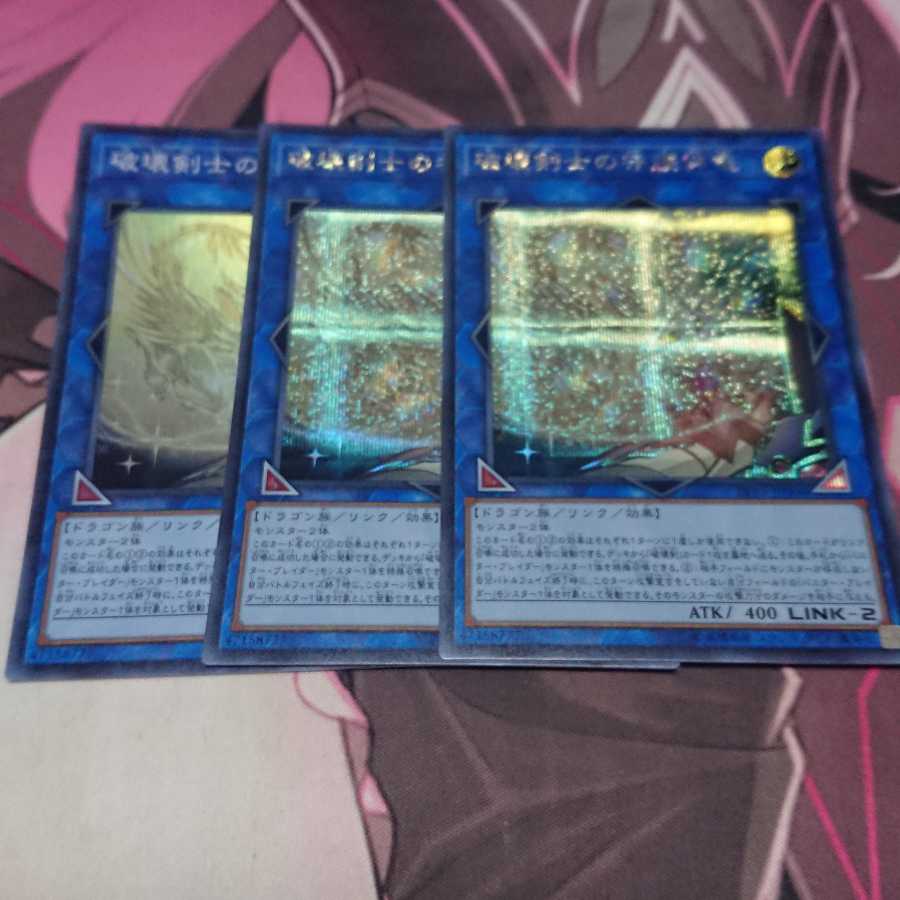 3 Protector Whelp of the Destruction Swordsman