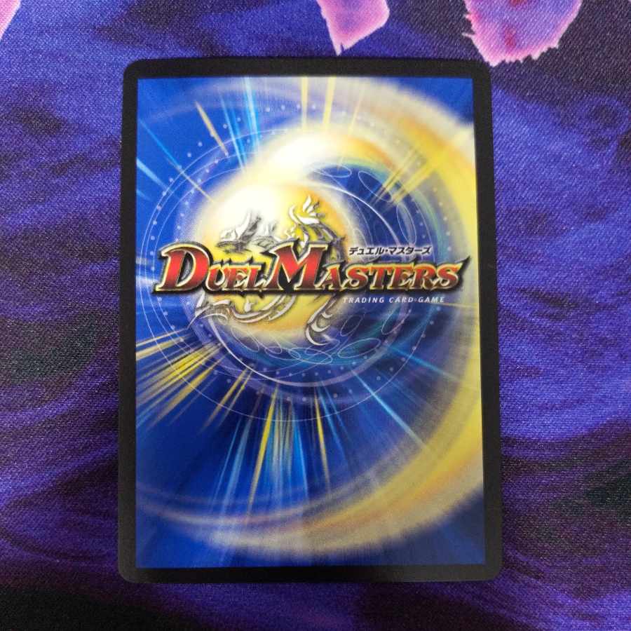 DisRosa Den R 24/95 WINNER Promo 1 copy