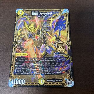 煌龍 サッヴァーク