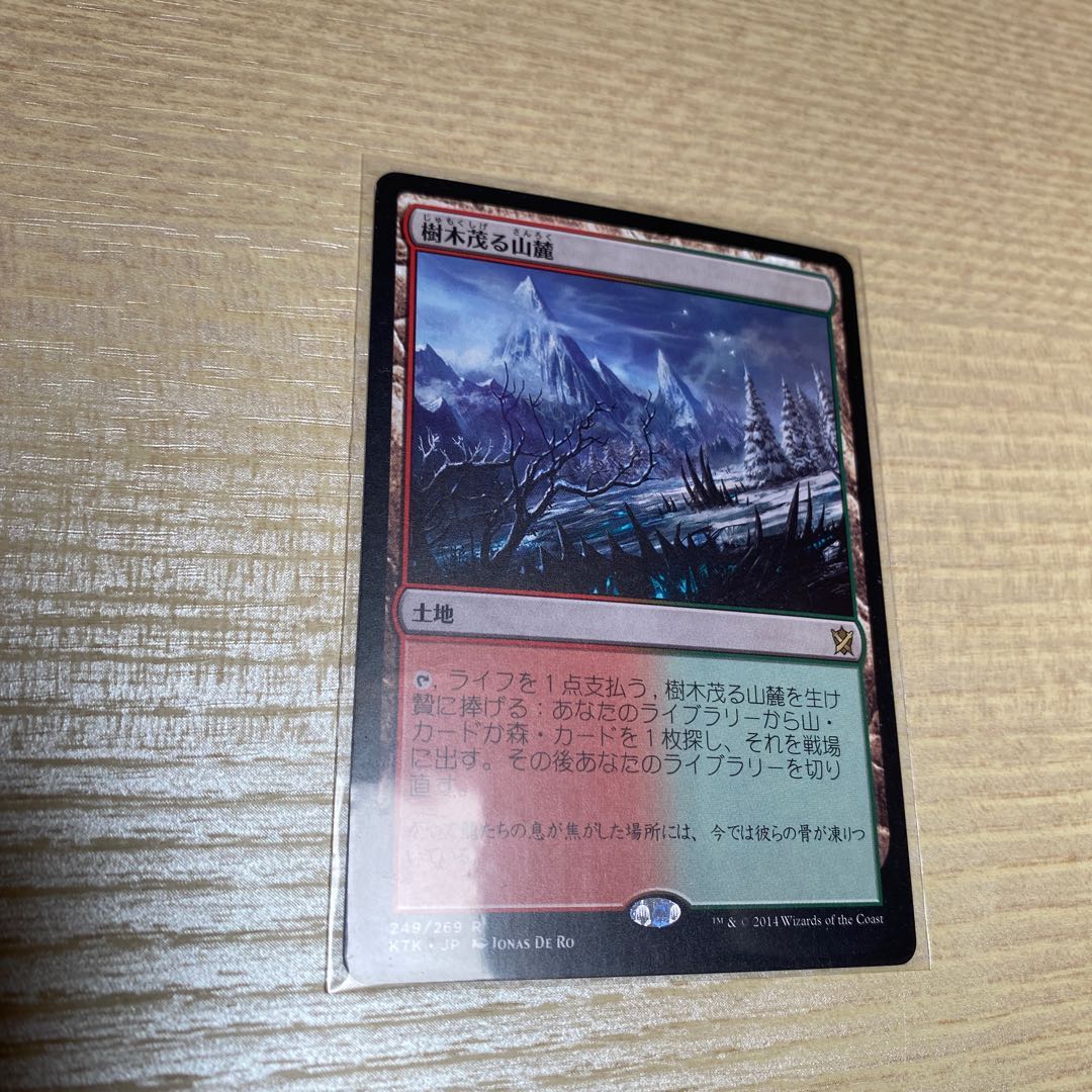 なおさん専用 樹木茂る山麓 血染めのぬかるみ