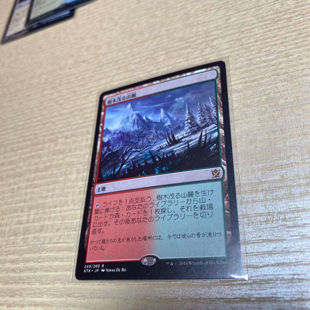 なおさん専用 樹木茂る山麓 血染めのぬかるみ