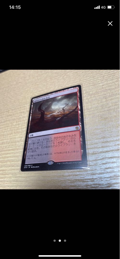 なおさん専用 樹木茂る山麓 血染めのぬかるみ