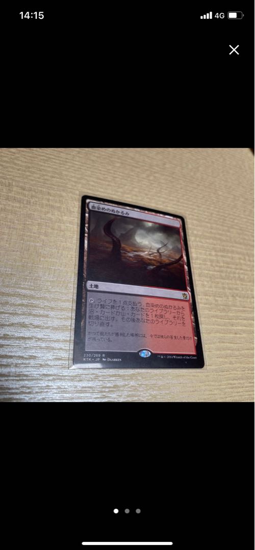 なおさん専用 樹木茂る山麓 血染めのぬかるみ