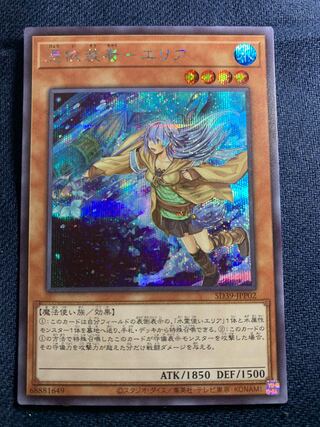 憑依装着-エリア　絵違い　シク