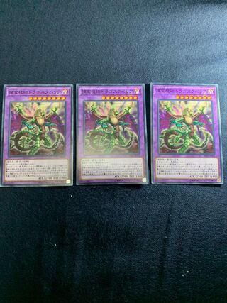 捕食植物ドラゴスタペリア ノーマル