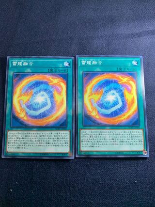 雷龍融合 ノーマル