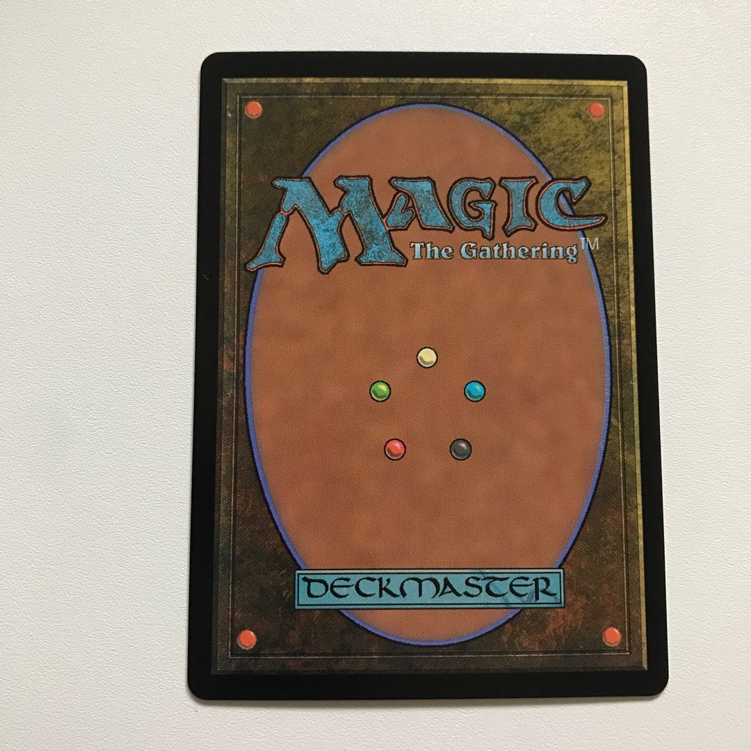 食物連鎖/ Food Chain