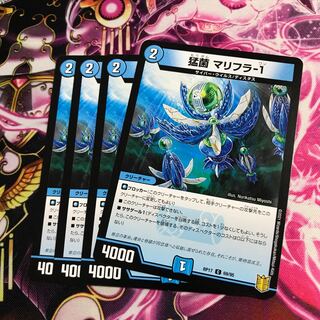 猛菌 マリフラ-1