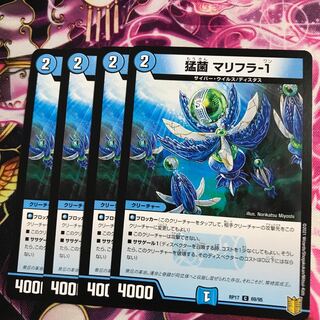 猛菌 マリフラ-1