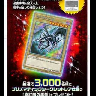 【あおい様専用】真紅眼 ハガキ 8枚セット