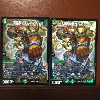 セット割引　S級原始 サンマックス