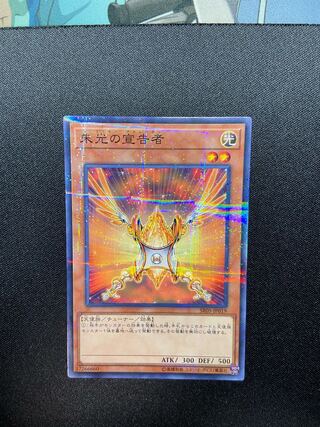 朱光の宣告者 パラレル ノーマル