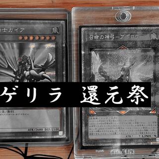 デュエマクラシック:オリパ・福袋のカード販売・通販 | magi