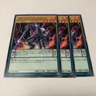 Igknight Paladin Normal