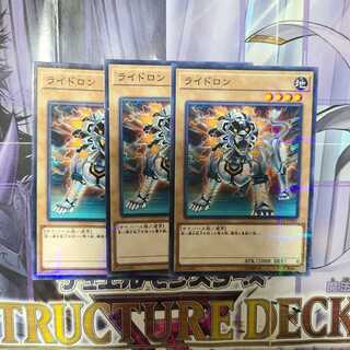 ライドロン パラレル ノーマル　3枚